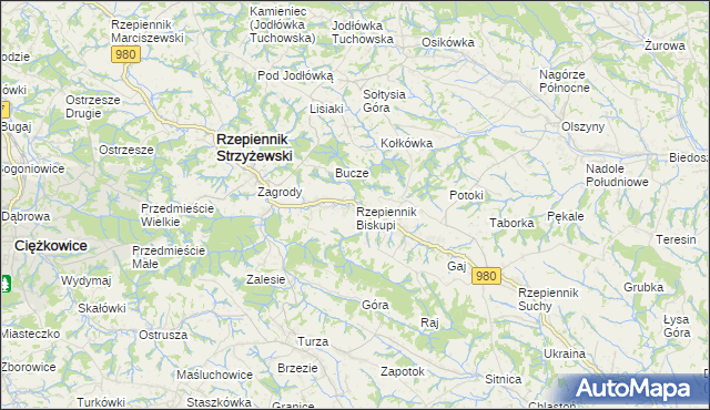 mapa Rzepiennik Biskupi, Rzepiennik Biskupi na mapie Targeo