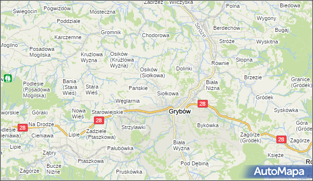 mapa Siołkowa, Siołkowa na mapie Targeo