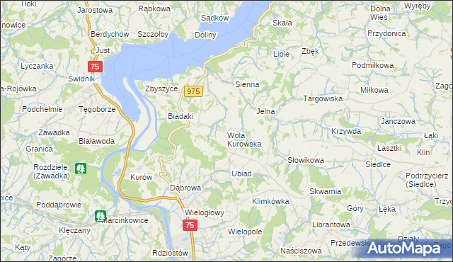 mapa Wola Kurowska, Wola Kurowska na mapie Targeo