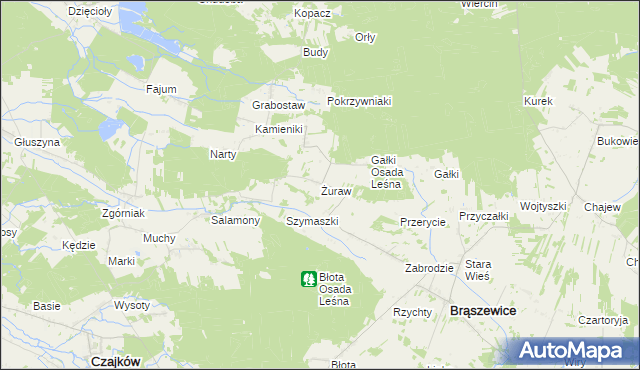 mapa Żuraw gmina Brąszewice, Żuraw gmina Brąszewice na mapie Targeo