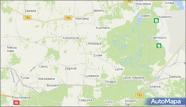 mapa Żuraw gmina Janów, Żuraw gmina Janów na mapie Targeo