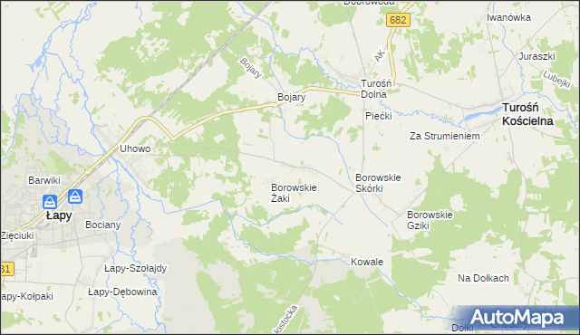 mapa Borowskie Cibory, Borowskie Cibory na mapie Targeo