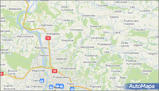 mapa Naściszowa, Naściszowa na mapie Targeo