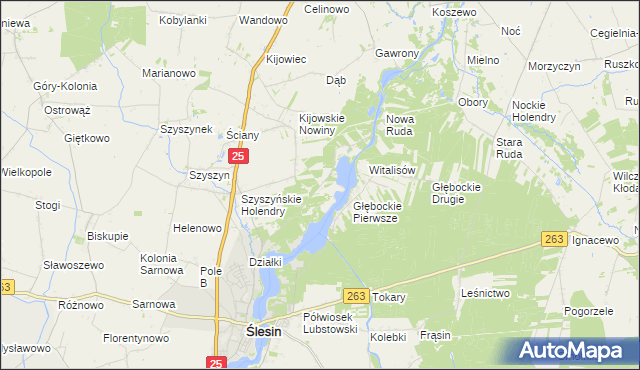 mapa Stanisławowo gmina Ślesin, Stanisławowo gmina Ślesin na mapie Targeo
