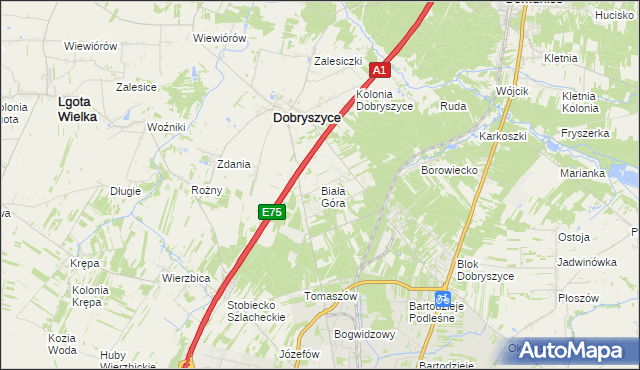 mapa Biała Góra gmina Dobryszyce, Biała Góra gmina Dobryszyce na mapie Targeo