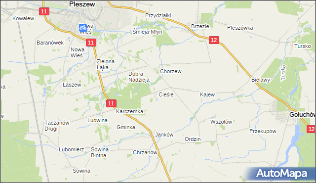 mapa Cieśle gmina Gołuchów, Cieśle gmina Gołuchów na mapie Targeo