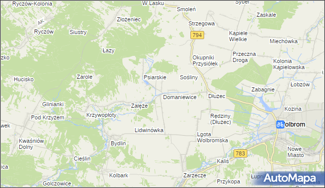 mapa Domaniewice gmina Wolbrom, Domaniewice gmina Wolbrom na mapie Targeo