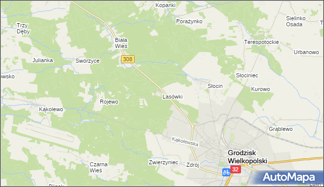 mapa Lasówki gmina Grodzisk Wielkopolski, Lasówki gmina Grodzisk Wielkopolski na mapie Targeo