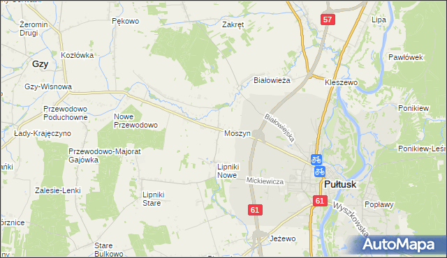 mapa Moszyn, Moszyn na mapie Targeo