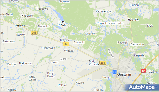 mapa Nagodów gmina Gostynin, Nagodów gmina Gostynin na mapie Targeo