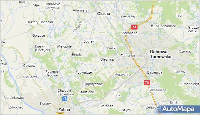 mapa Oleśnica gmina Olesno, Oleśnica gmina Olesno na mapie Targeo