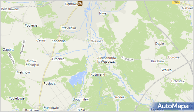 mapa Aleksandrów k. Wąsosza, Aleksandrów k. Wąsosza na mapie Targeo