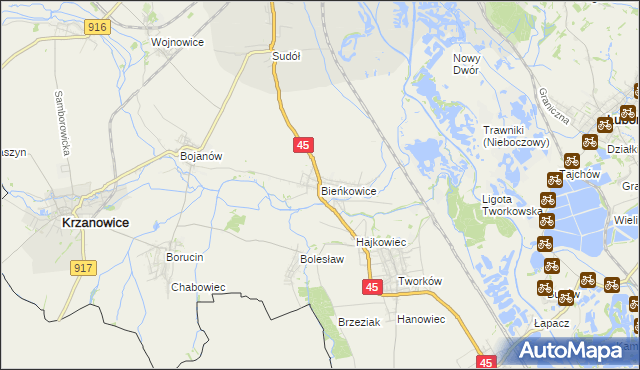 mapa Bieńkowice gmina Krzyżanowice, Bieńkowice gmina Krzyżanowice na mapie Targeo