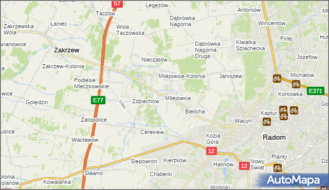mapa Milejowice gmina Zakrzew, Milejowice gmina Zakrzew na mapie Targeo