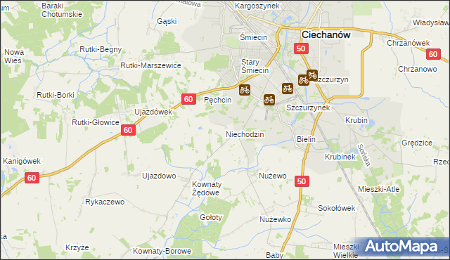 mapa Niechodzin, Niechodzin na mapie Targeo