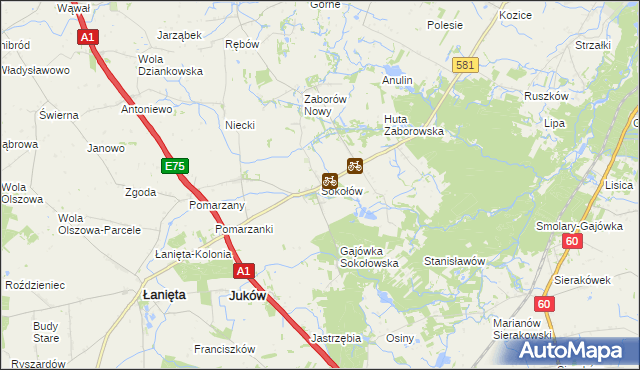 mapa Sokołów gmina Gostynin, Sokołów gmina Gostynin na mapie Targeo