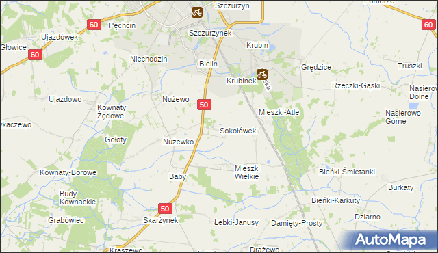 mapa Sokołówek gmina Ciechanów, Sokołówek gmina Ciechanów na mapie Targeo