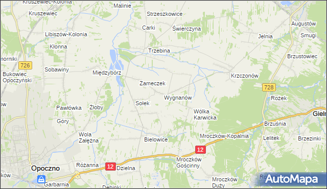 mapa Wygnanów gmina Opoczno, Wygnanów gmina Opoczno na mapie Targeo