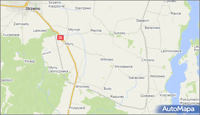 mapa Witkowo gmina Strzelno, Witkowo gmina Strzelno na mapie Targeo