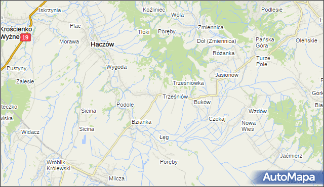 mapa Trześniów gmina Haczów, Trześniów gmina Haczów na mapie Targeo