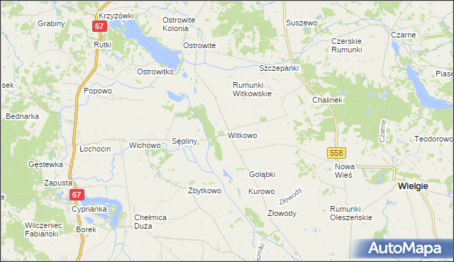 mapa Witkowo gmina Wielgie, Witkowo gmina Wielgie na mapie Targeo