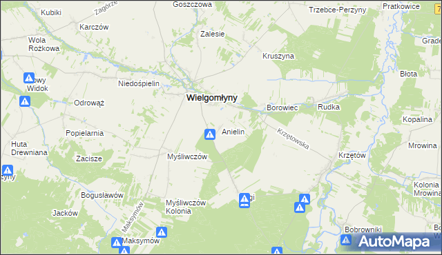 mapa Anielin gmina Wielgomłyny, Anielin gmina Wielgomłyny na mapie Targeo