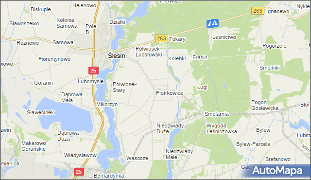 mapa Piotrkowice gmina Ślesin, Piotrkowice gmina Ślesin na mapie Targeo