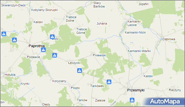 mapa Pniewiski, Pniewiski na mapie Targeo