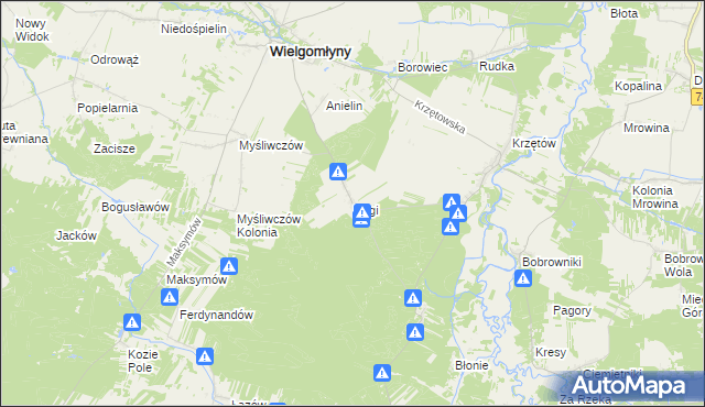 mapa Rogi gmina Wielgomłyny, Rogi gmina Wielgomłyny na mapie Targeo