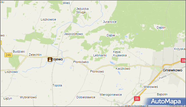 mapa Leśnianki, Leśnianki na mapie Targeo