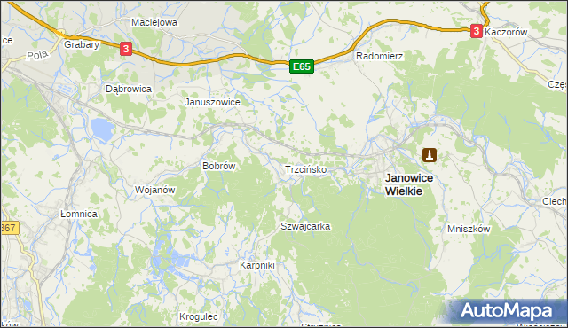 mapa Trzcińsko, Trzcińsko na mapie Targeo