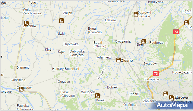 mapa Adamierz gmina Olesno, Adamierz gmina Olesno na mapie Targeo