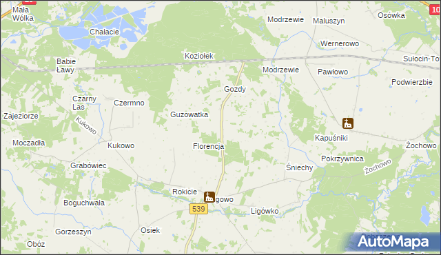 mapa Adamowo gmina Mochowo, Adamowo gmina Mochowo na mapie Targeo