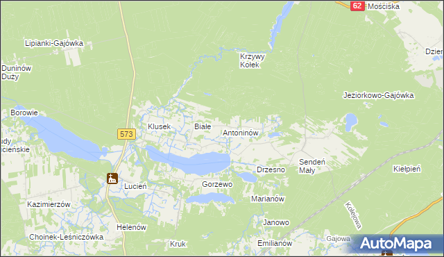 mapa Antoninów gmina Gostynin, Antoninów gmina Gostynin na mapie Targeo