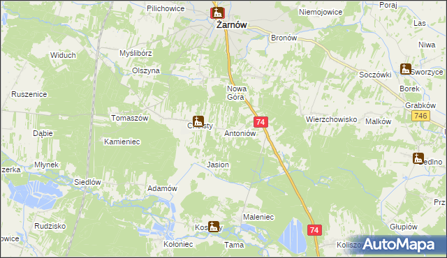 mapa Antoniów gmina Żarnów, Antoniów gmina Żarnów na mapie Targeo