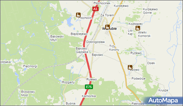 mapa Bąkowo gmina Warlubie, Bąkowo gmina Warlubie na mapie Targeo