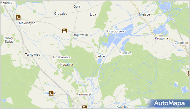 mapa Bielice gmina Świerczów, Bielice gmina Świerczów na mapie Targeo