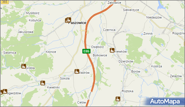 mapa Bolkowice gmina Paszowice, Bolkowice gmina Paszowice na mapie Targeo