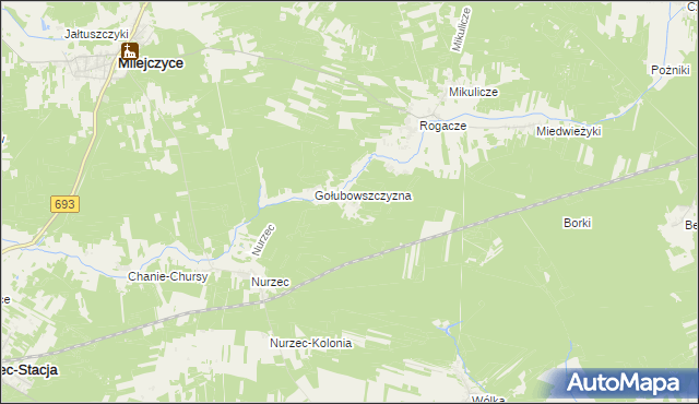 mapa Borowiki, Borowiki na mapie Targeo
