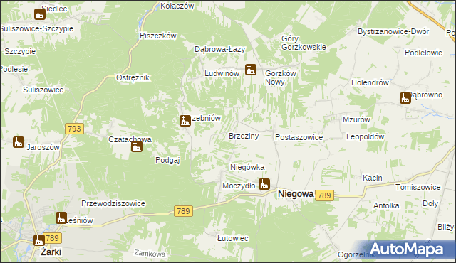 mapa Brzeziny gmina Niegowa, Brzeziny gmina Niegowa na mapie Targeo