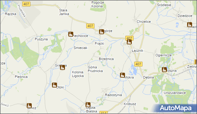 mapa Brzeźnica gmina Biała, Brzeźnica gmina Biała na mapie Targeo