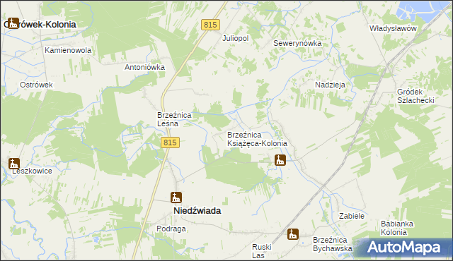 mapa Brzeźnica Książęca-Kolonia, Brzeźnica Książęca-Kolonia na mapie Targeo