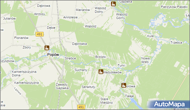 mapa Brzózki gmina Popów, Brzózki gmina Popów na mapie Targeo