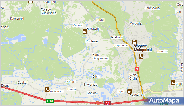 mapa Budy Głogowskie, Budy Głogowskie na mapie Targeo