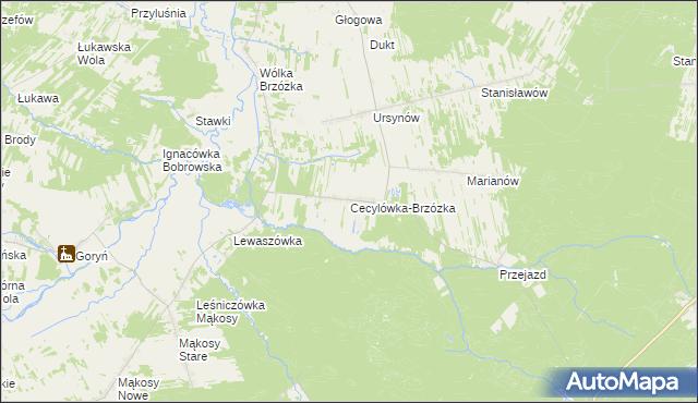 mapa Cecylówka-Brzózka, Cecylówka-Brzózka na mapie Targeo