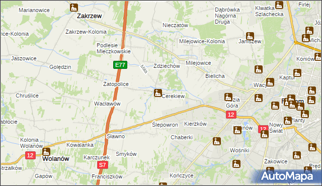 mapa Cerekiew gmina Zakrzew, Cerekiew gmina Zakrzew na mapie Targeo