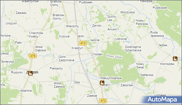 mapa Chodaki gmina Zadzim, Chodaki gmina Zadzim na mapie Targeo