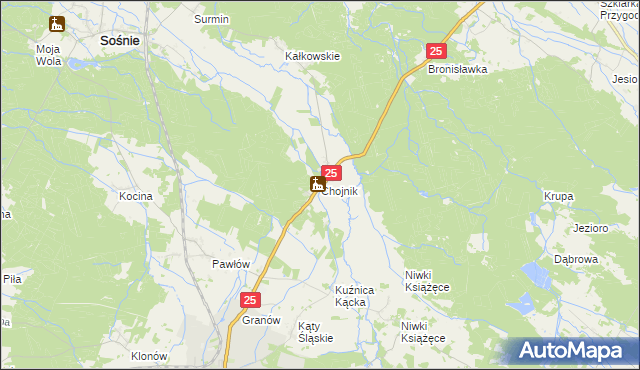 mapa Chojnik gmina Sośnie, Chojnik gmina Sośnie na mapie Targeo