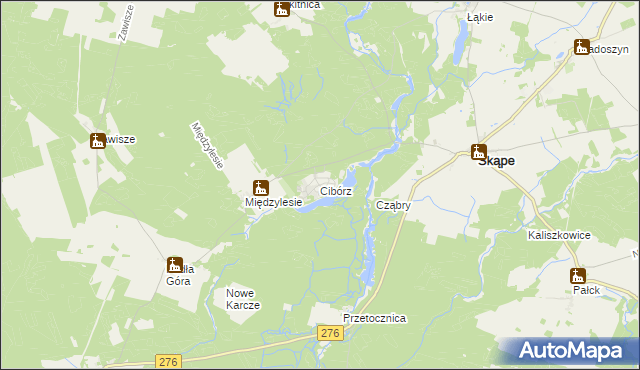 mapa Cibórz gmina Skąpe, Cibórz gmina Skąpe na mapie Targeo