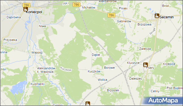 mapa Dąbie gmina Secemin, Dąbie gmina Secemin na mapie Targeo